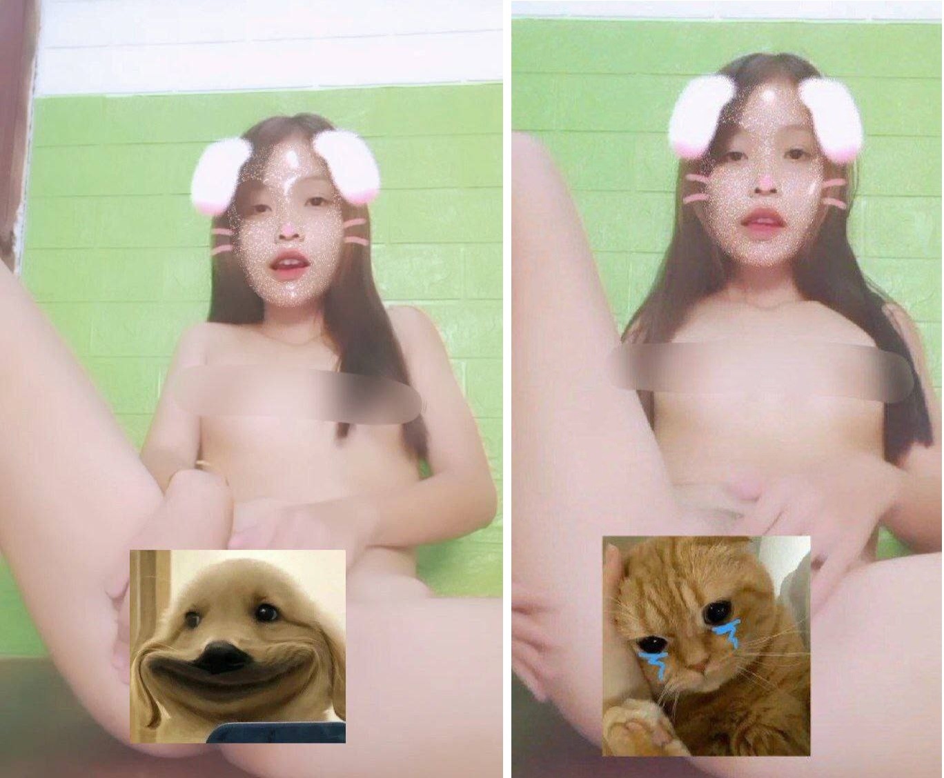 Tik toker còn được gọi là thỏ bướm nhiều nước đụ rất vui